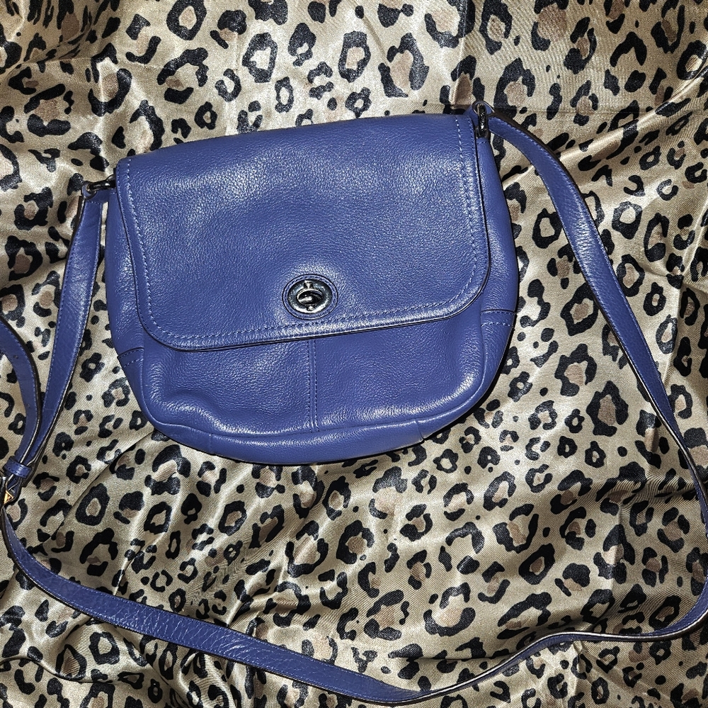 Coach bag purple
